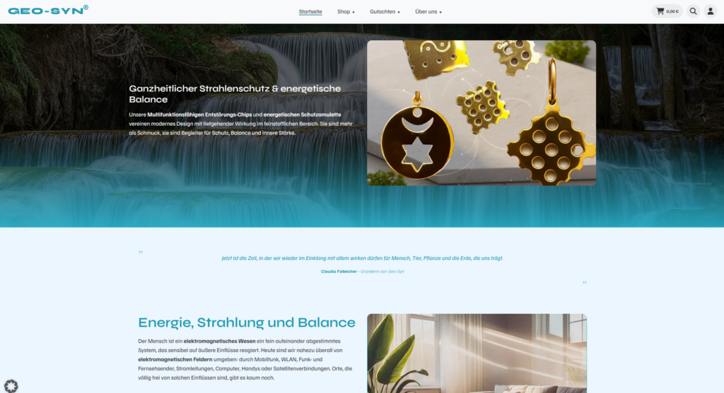 Live Website | Geo Syn